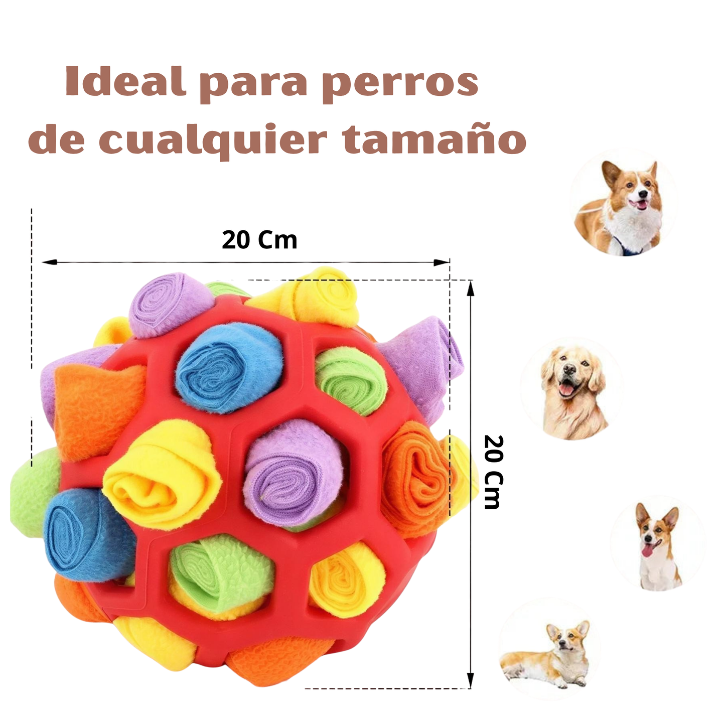 Pelota olfativa interactiva