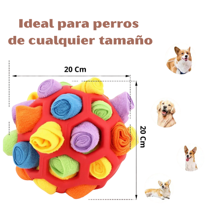 Pelota olfativa interactiva