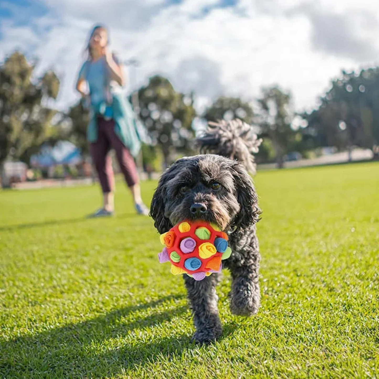 Pelota olfativa interactiva
